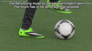 Learn Amazing Skills Malouda Flick Florent Malouda Skill Tutorial By 10Bra