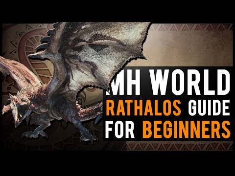 Rathalos 가이드 : Monster Hunter World BEGINNER 튜토리얼!