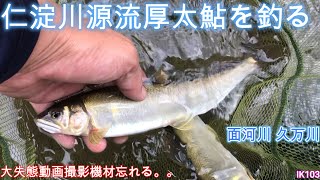 仁淀川源流厚太鮎を釣る！/ 田舎暮一記の釣り日記