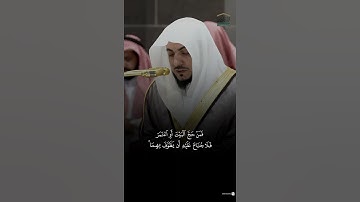 مقتطف من تلاوة فضيلة الشيخ #الوليد_الشمسان من صلاة المغرب 11 شعبان 1446هـ