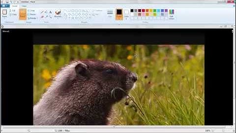 Take a snapshot from windows media player.