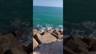 Una super ola enorme en el grao de gandia en el año. _1989_agosto. Recurdos a los que estuvieron. _