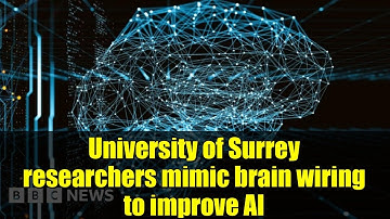 University of Surrey researchers mimic brain wiring to improve AI