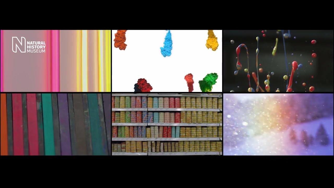 sight and sound theater Art and science reflections on colour and vision | Natural History Museum