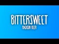 Madison Beer - bittersweet (Sub. Español + Lyrics)