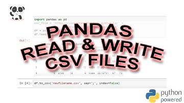 How to Use Pandas read_csv & to_csv