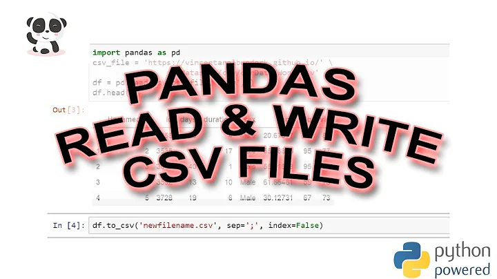 How to Use Pandas read_csv & to_csv