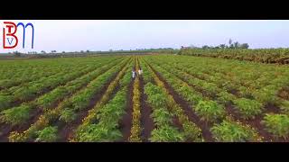 Download Lagu MERE RAKSHA QOMAR MP3