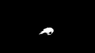 Jack White - The White Raven (Visualizer) chords