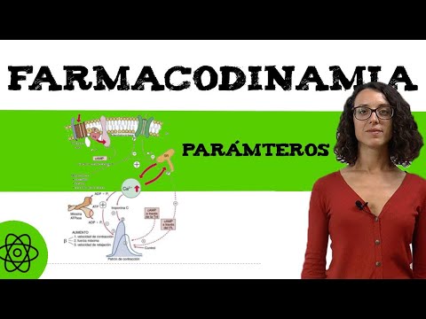 Que es la farmacodinamia: parámetros 💊farmacodinamia receptores.