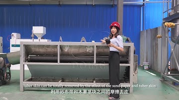 Cassava peeling machine for garri making line and cassava processing plant