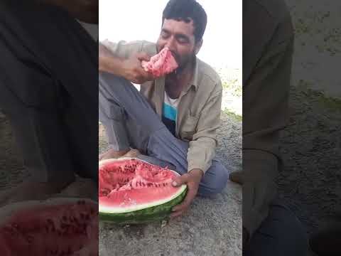 الشايب قلبوو طارر