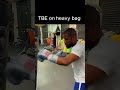 TBE on heavy bag #shorts