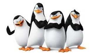 Teamwork penguins