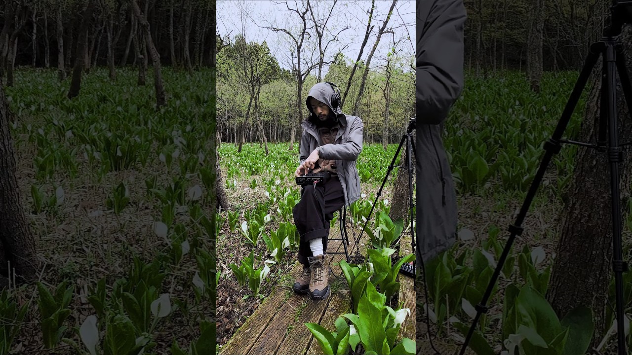 Full video coming soon.. #roland #sp404mk2 #fieldsoundart