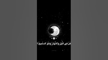 #سورة_الأنعام #قرآن #قرآن_كريم #quran #المصحف #fyp