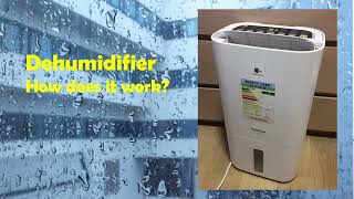 How does a dehumidifier work?