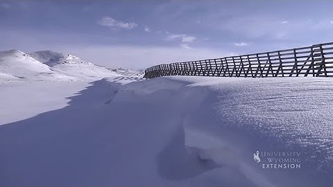 Snow Fence Design