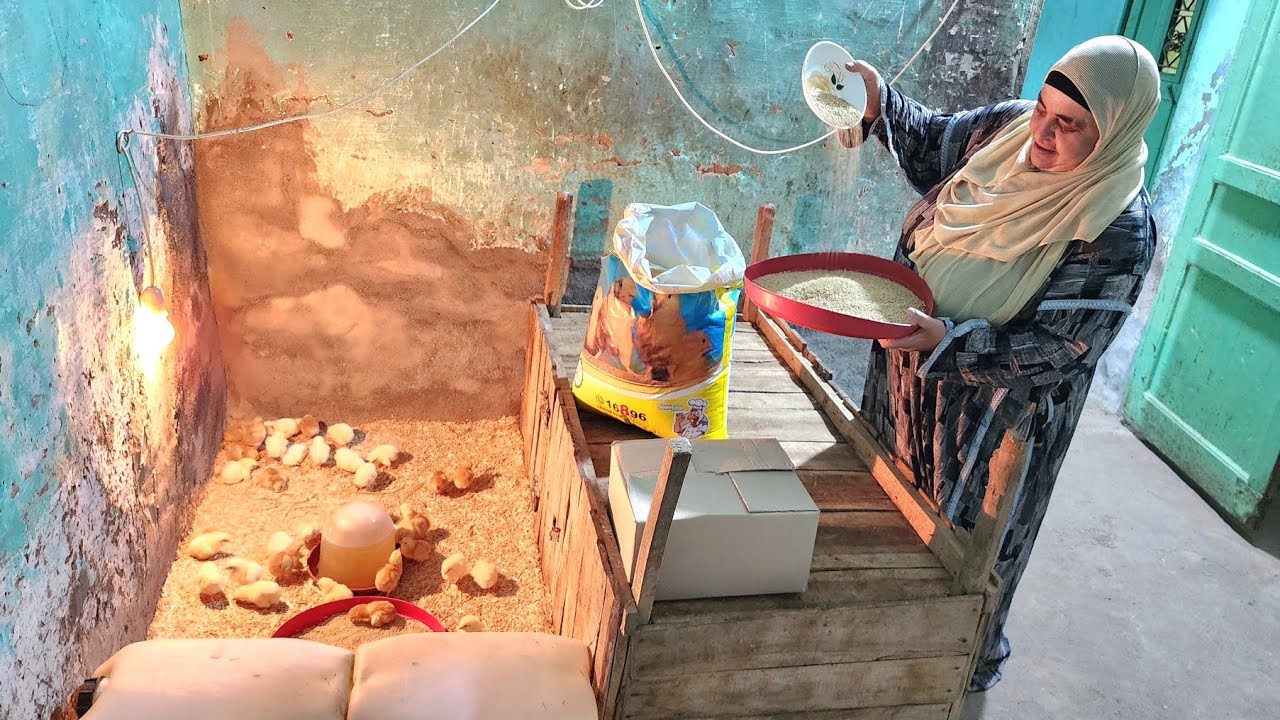 بيكفوا بيتي وولادي وببيع منهم كمان وأصرف على نفسي👌