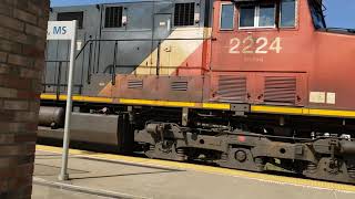 Canadian National 2224 & 2780 Grain Train