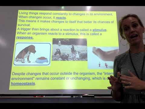 What classifies something as 'living'? - YouTube