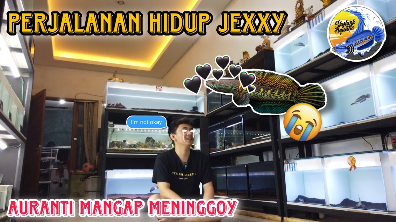 AURANTI MANGAP MANGAP SKYLARK AQUATIC MENINGGOY | STORY JEXXY AURANTI MANGAP MANGAP SKYLARK AQUATIC MENINGGOY | STORY JEXXY