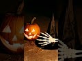 Top 10 Scariest Halloween Decorations in America 😱 | People Went Too Far!