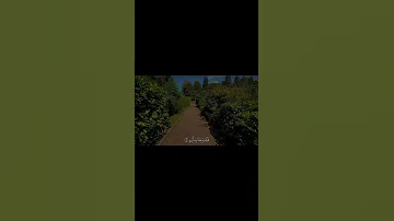 ويل لكل أفاك أثيم ارح قلبك ارح سمعك قران كريم قرآن اللهم صل وسلم على نبينا محمد 