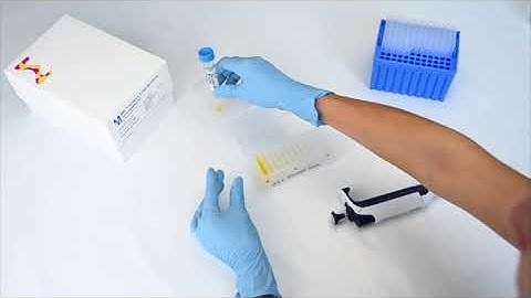 SMCxPRO: How to prepare the IL6 standard curve Merck