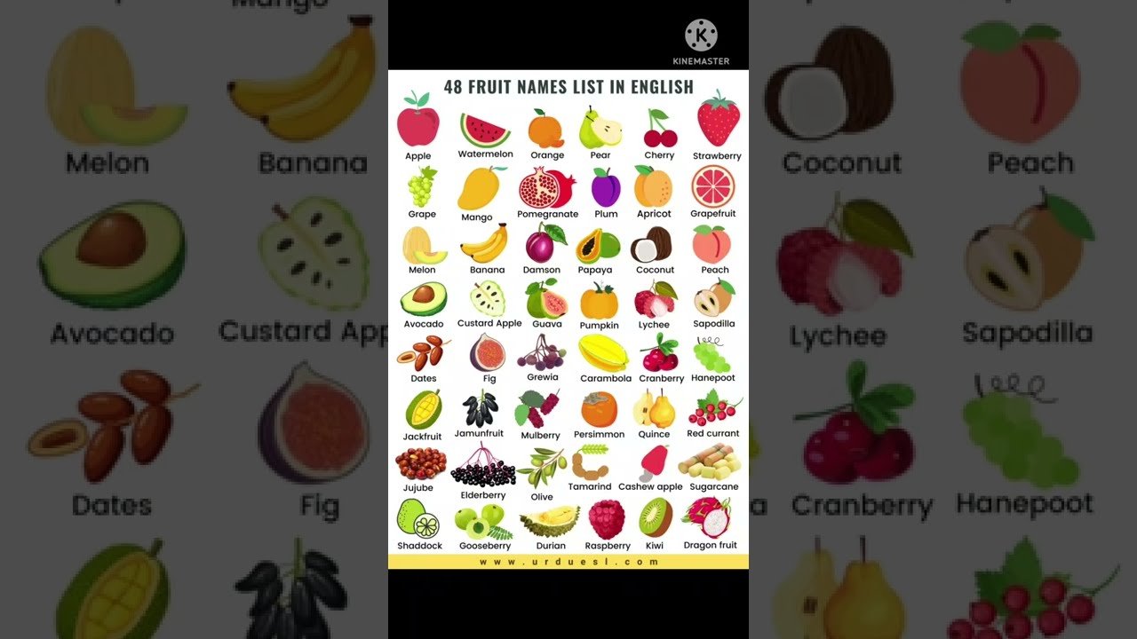 20 Fruit Name Shorts