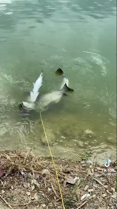 Doa memancing Surat Al-Anfal ayat 17