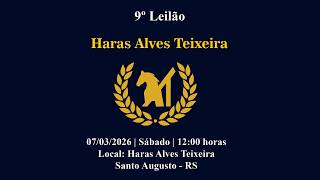 9º LEILÃO HARAS ALVES TEIXEIRA