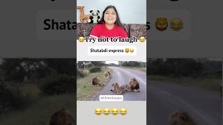 Dayaram chale shopping krne 🦁😂 #funnyvideo #memes #comedy #funny #reaction #wildlife #funnyshorts