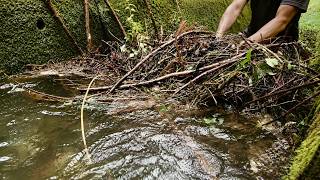 Clearing a Blocked Stream to Its End