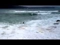 Sydney Harbor Surfing.