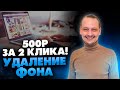 Как заработать на фрилансе? Удаление фона с фото на заказ / Лайфхак / 16+