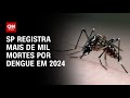 SP registra mais de mil mortes por dengue em 2024 | LIVE CNN