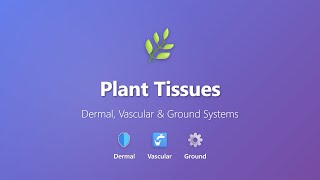 Plant Tissues Explained: Dermal, Vascular & Ground Systems | Biology Basics