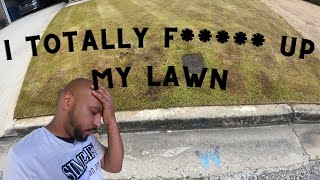 I made a mistake on my bermuda lawn // front lawn update after killing annual ryegrass