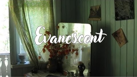 Evanescent: Seed & Spark Fundraiser Pitch Video