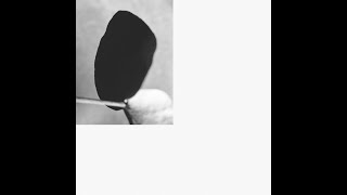 Michalis Moschoutis – Classical Mechanics