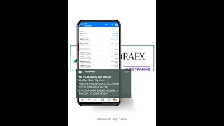 plethorafx bot test