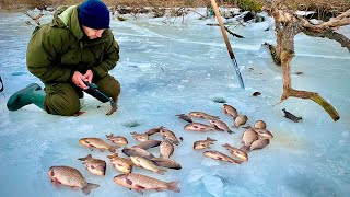 Рибалка на КРУПНОГО КАРАСЯ В КОРЯГАХ! НЕЙМОВІРНА РОЗДАЧА!!!