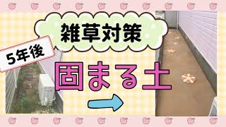 【 雑草対策 ② 】 固まる土 ５年後 素人でも簡単  素人DIY  （水はけ 真砂土 まさ王 まさ太郎）