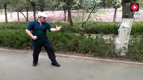 Xing Yi Quan (Hsing I Chuan) 形意拳五行拳 Hình ý quyền 5 elements