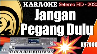 Karaoke dangdut house terbaru saat ini | Jangan pegang dulu | FULL HD ALJES