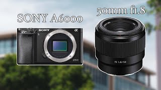 Sony 50mm F1.8 OSS Review (2017)  Sony a6000 Image Samples 