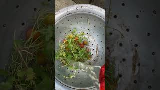 Assamese Traditional Poita Bhat 🍚🌿 | Taste of Real Assam