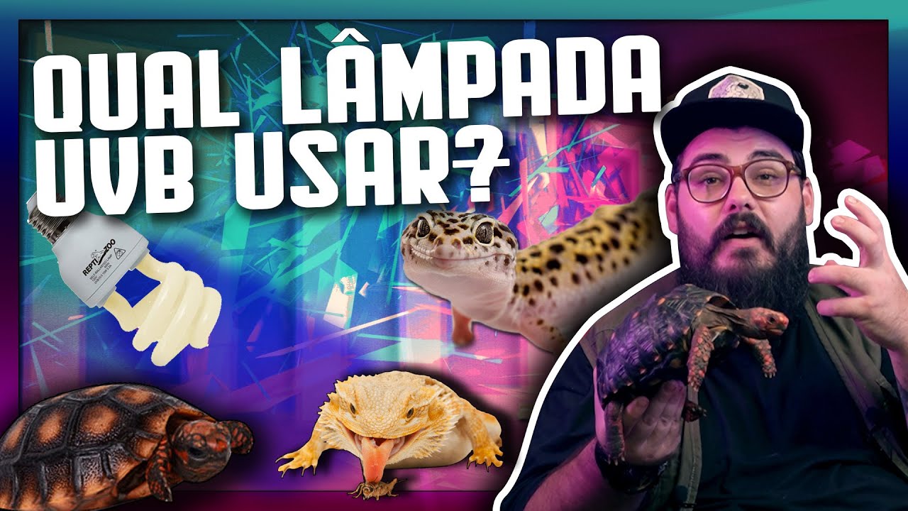 Lâmpada radiação UVB para Répteis - POGONA, GECKOS, JABUTIS, TEIÚ precisam?