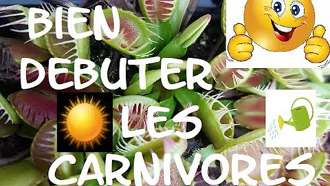 Comment faire fermer une plante carnivore ?